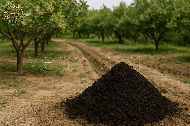 آشنایی با ورمی‌کمپوست؛ طلای سیاه طبیعت